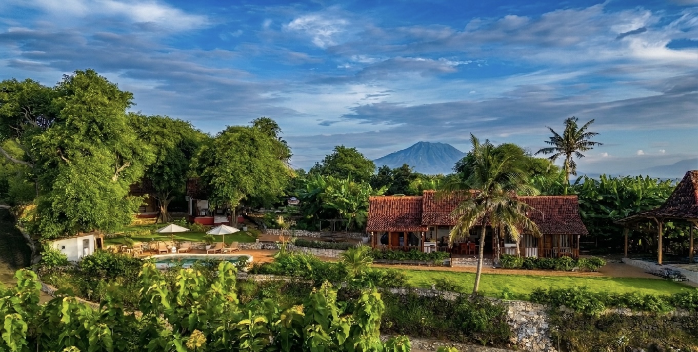 Aerial view of the estate