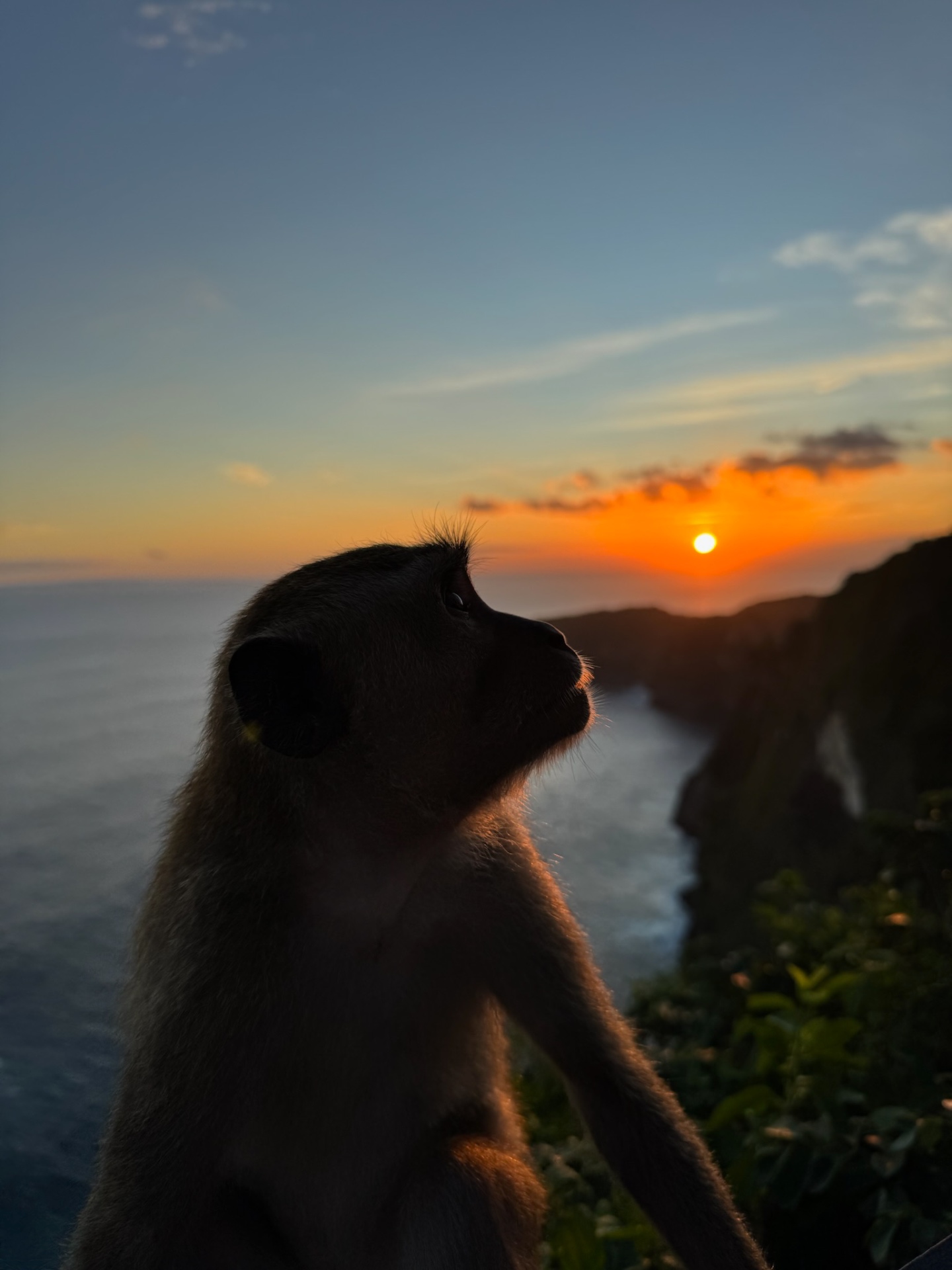 Nusa Penida island tour sunset
