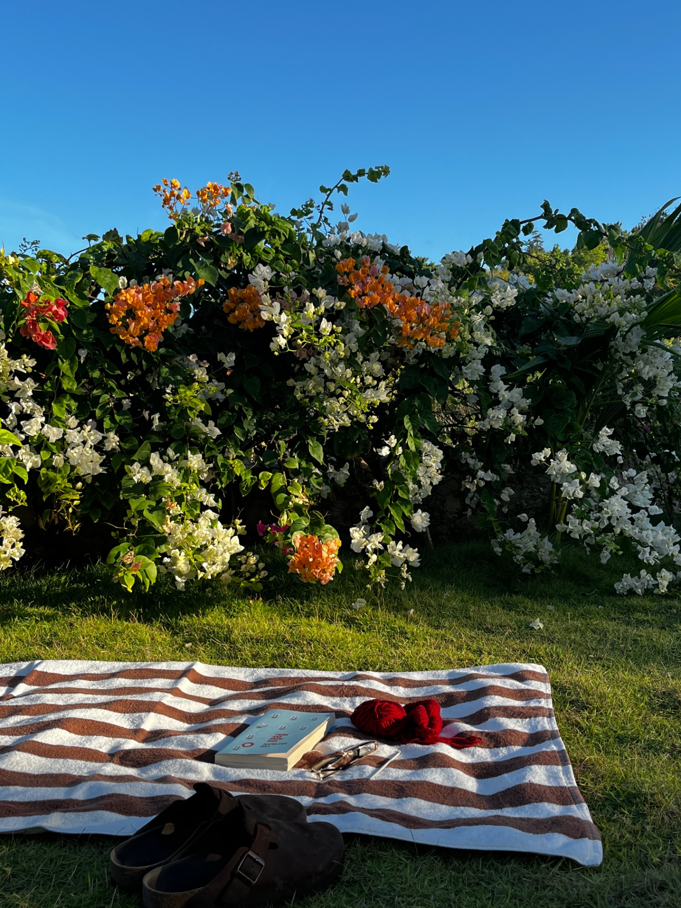Relaxing at Villas Roc-Azur garden